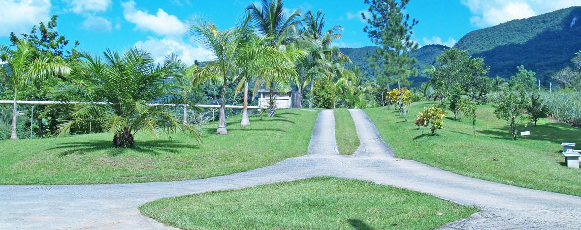 JamXTravel has the best travel experiences in Jamaica